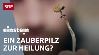 Drogen als Medikamente: Wie LSD, Psilocybin und GHB heilen könnten | Doku | Einstein | SRF