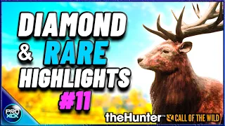 DIAMOND and RARE highlights #11 - theHunter Call of the Wild