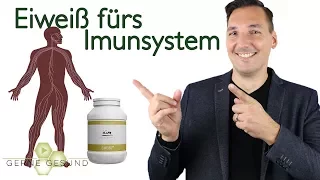 Eiweiße: Wichtig Für Muskeln und Immunsystem? - Gerne Gesund