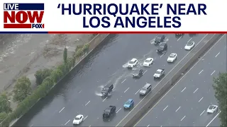 Hurriquake: Earthquake near LA as Hurricane Hilary approaches | LiveNOW from FOX