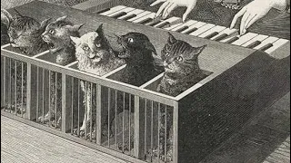 Кошачье фортепиано