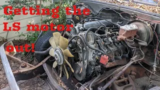 1952 Ford F1 S10 frame/ LS swap episode 4! LS motor is getting pulled part 1