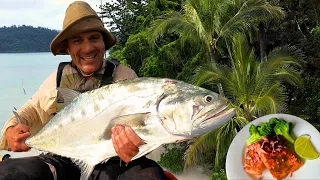 Catching Massive Tropical Island Fish, Dodging Sharks & camping from the Kayak in paradise.