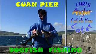 Evening fishing session at Cuan Pier , Lots of Dogfish