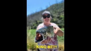 Landlocked King Salmon fishing at Lake Berryessa