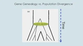 CARTA: Ancient DNA and Human Evolution – Brenna Henn: The Origins of Modern Humans in Africa