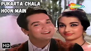 Pukarta Chala Hoon Main | Asha Parekh, Biswajit | Mohd Rafi Hit Songs | Mere Sanam- Lyrical Songs