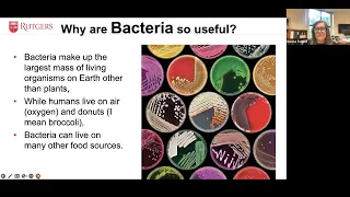 Bioremediation With Bacteria