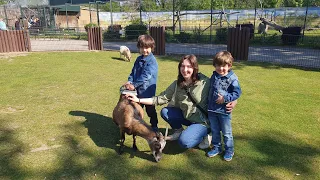 Delitzsch Tierpark - Delitzsch Hayvanat Bahçesi