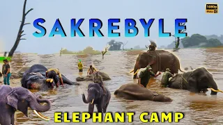 Sakrebyle Elephant Camp | Monsoon Road Trip | Must Visit Place in Shimoga | Sakrebail | Shivamogga