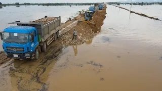 Urgent Work Keep up Situation Using Bulldozer,Dump Truck in Operation Build Road Long Crossing Flood