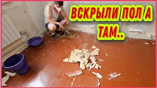 #78 Из Германии в Россию/ Откуда плесень ? Возьмут ли ребёнка в школу ?