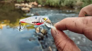 Catch More Fish Than Ever with This Dirt-cheap Lure