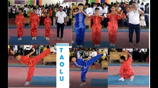 SRAA 2019   SAN LU QUAN and YI LU QUAN  (ELEMENTARY ROUTINE)    WUSHU TAOLU- (DEMO SPORTS)