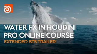 Water FX in Houdini | Pro Online Course (Extended BTS Trailer)