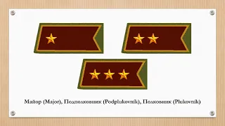 Знаки различия армии Словакии 1939-1940