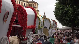 ⁴ᴷ Salida Hermandad del ROCÍO de TRIANA | 2022