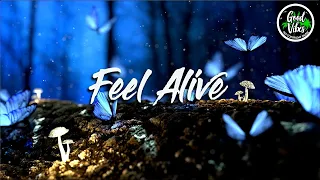 More Plastic x hayve - Feel Alive - No Copyright Music