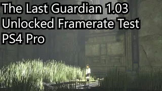 The Last Guardian 1.03 Framerate Unlock on PS4 Pro