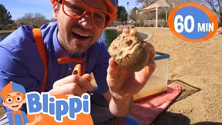 Blippi Visits Dinosaur Exhibition to Learn About Eggs and Fossils