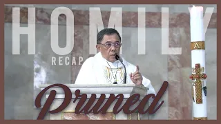 Homily Recap - 5th Sunday of Easter, May 2, 2021