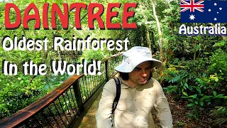 DAINTREE in Australia: the oldest RAINFOREST in the world!