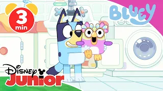 Bluey - Clip: Verstecken spielen | Disney Junior