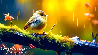 Chirping Melody #37 | Piano Music and Forest Harmony 3