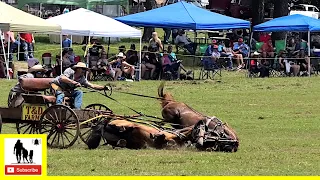 Buckboard Wagon Races Part 2 - What About Bob Chuckwagon Races 2022 |  Saturday