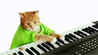 Wonderful Pistachios - Keyboard Cat