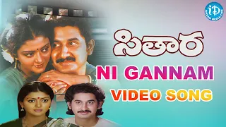 Ni Gannam Video Song - Sitara Movie || Suman || Bhanupriya || Vamsy || Ilaiyaraaja