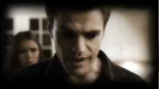 Stelena | Why don't you love me