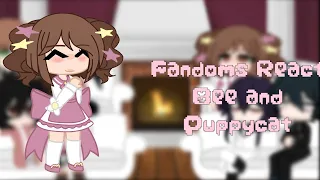 Fandoms React S.2 [♡] 3/3 DISCONTINUED [♡] Bee and Puppycat [♡] FLASHING LIGHTS