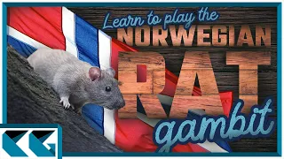 Chess Openings: Learn to Play the Norwegian Rat Gambit / Norwegian Gambit / North Sea Variation!