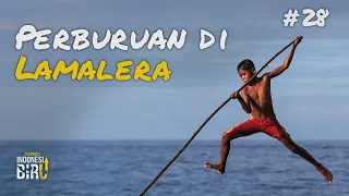 PERBURUAN DI LAMALERA - Ekspedisi Indonesia Biru #28