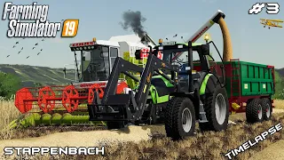 Harvest w/ CLAAS DOMINATOR 108 SL MAXI | Animals on Stappenbach | Farming Simulator 19 | Episode 3