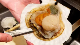GIANT SCALLOPS - Japanese Street Food Grilled and Sashimi Seafood
