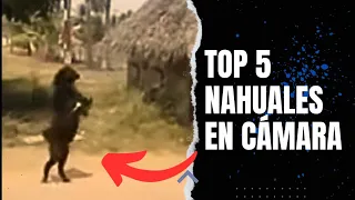 5 NAHUALES REALES CAPTADOS  en LA VIDA REAL y en CÁMARA