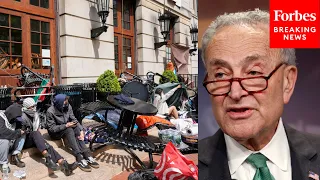 'It Is Unacceptable': Chuck Schumer Slams Occupation Of Columbia Building By Student Protesters