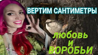 ВЕРТИМ САНТИМЕТРЫ | ЛЮБОВЬ И ВОРОБЬИ