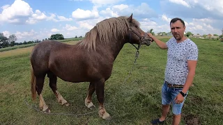 НОВОАЛЕКСАНДРІВСЬКИЙ ВАГОВОЗ . ПРОДАНИЙ!!!!