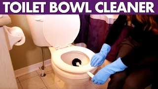 Toilet Bowl Cleaner - Day 17 - 31 Days of DIY Cleaners (Clean My Space)