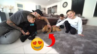 WE HEBBEN EEN NIEUW HONDJE GEHAALD 🐶 *KIDS VERRASSEN* | #553