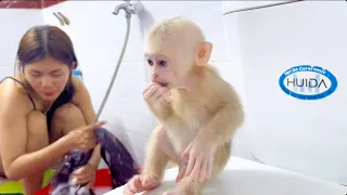 Baby monkey Miker waiting for mom wash clothes