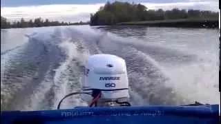 Evinrude 50 DSL ABA