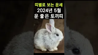 띠별운세! 2024년 5월 토끼띠운세! 대박나는 토끼띠운세! 갑진년 5월 한달운세! #띠별운세, #사주, #대박운세, #한달운세,