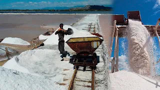 Las Salinas de Baní, República Dominicana produccion de sal, la vida del campo es saludable
