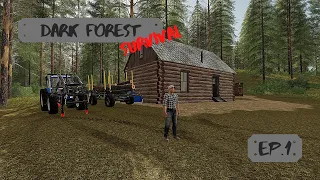 Dark Forest Survival #1 - Alone in the Woods