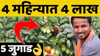 फक्त या 5 गोष्टी करा....शेतीत होईल भरघोस उत्पन्न व बक्कळ नफा🍅🍅Top 5 Smart Farming Techniques