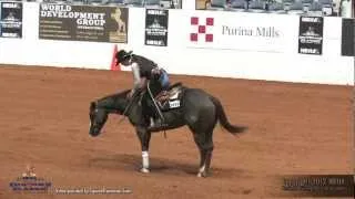 Layla Choate 2012 NRHA Cowtown Classic Non Pro Derby